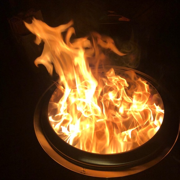 Meet your Posher, Posh - Picture 4 of 9